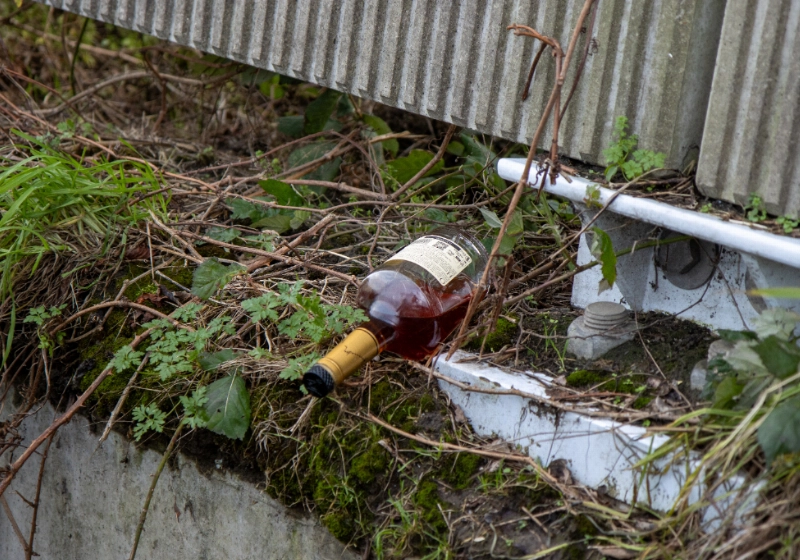 autoroekeloos (3).jpg